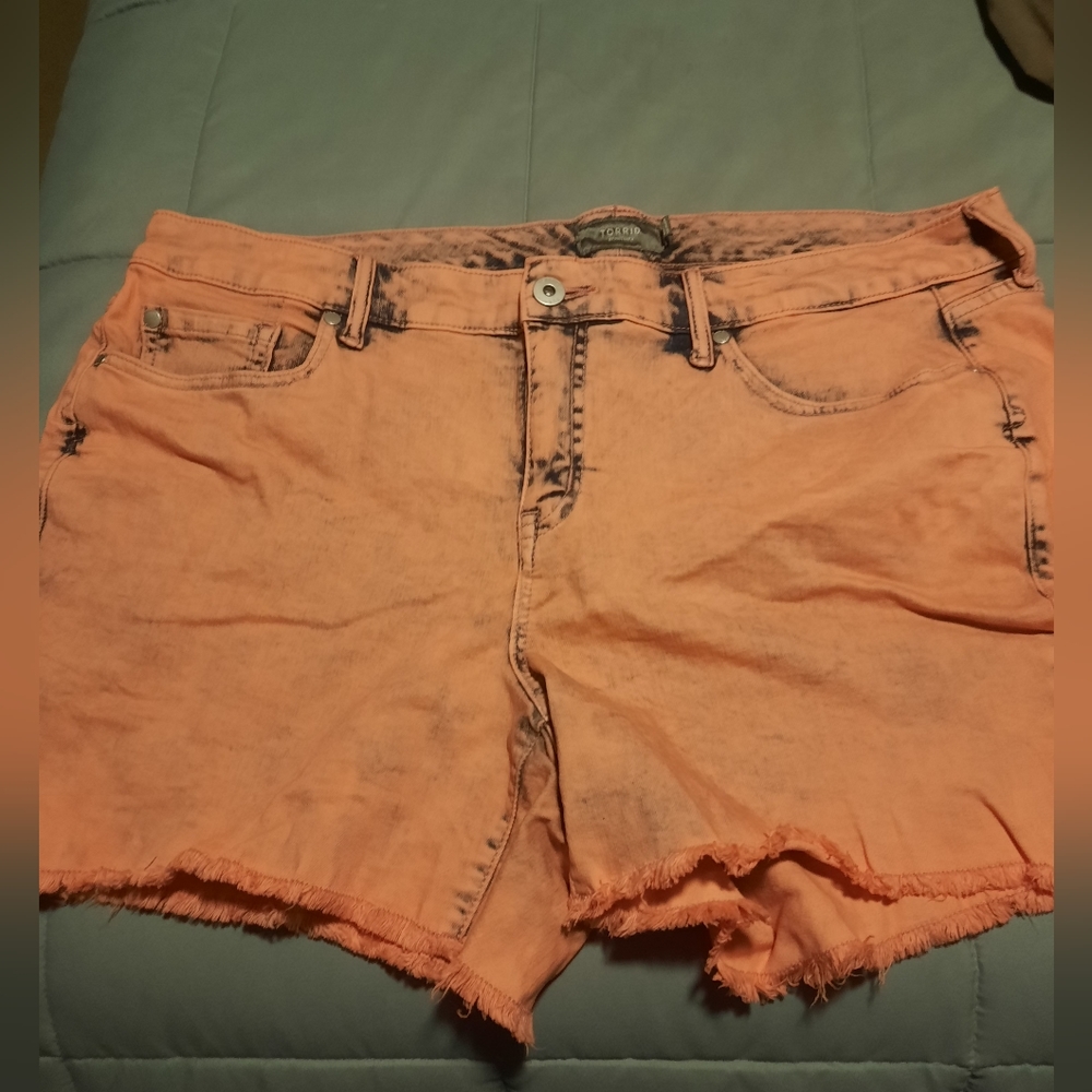 Torrid Shorts
